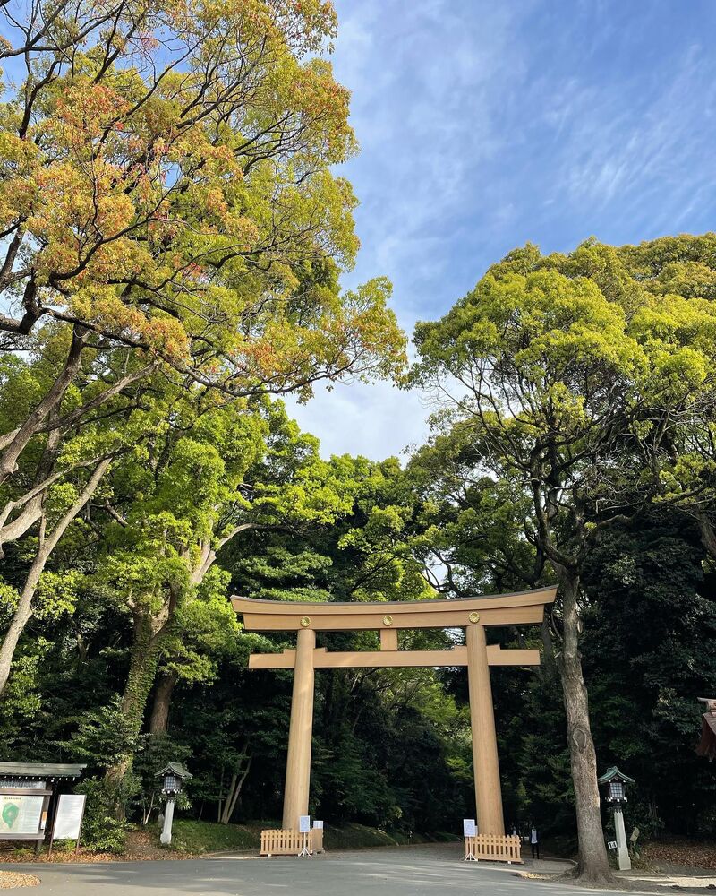 画像1266