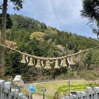 画像1272