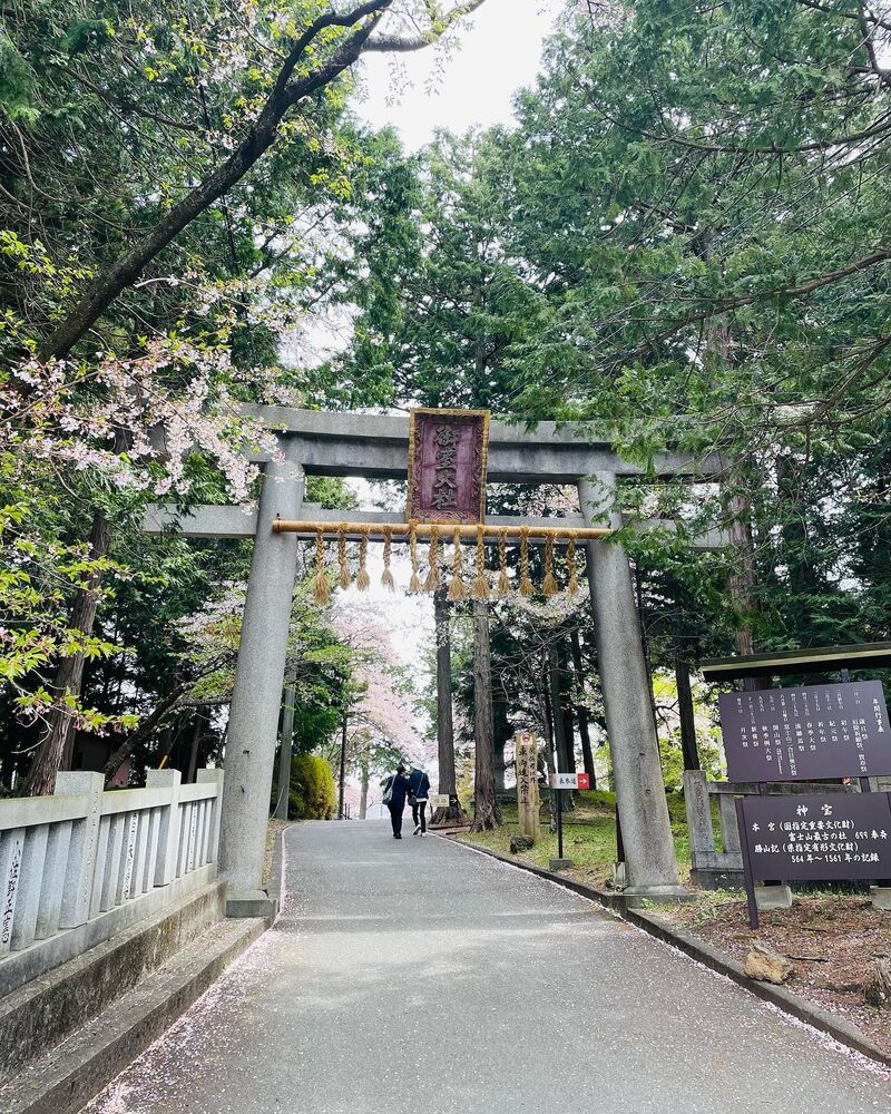 画像1282