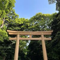 画像1314