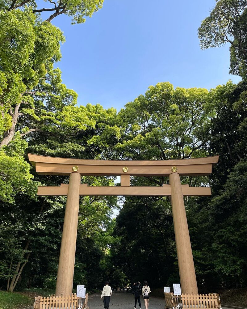 画像1314