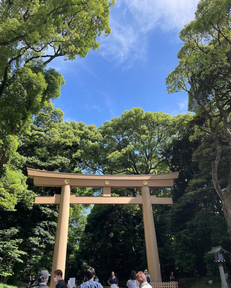 画像1499