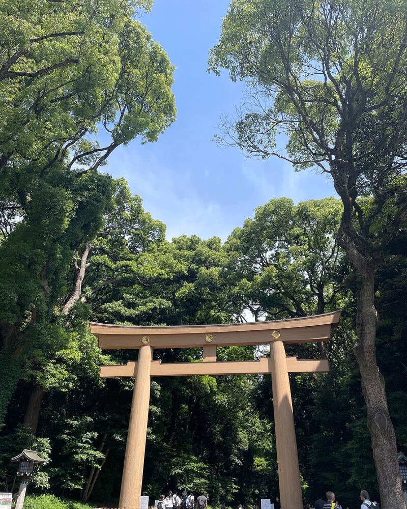 画像1518