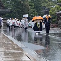 画像1537
