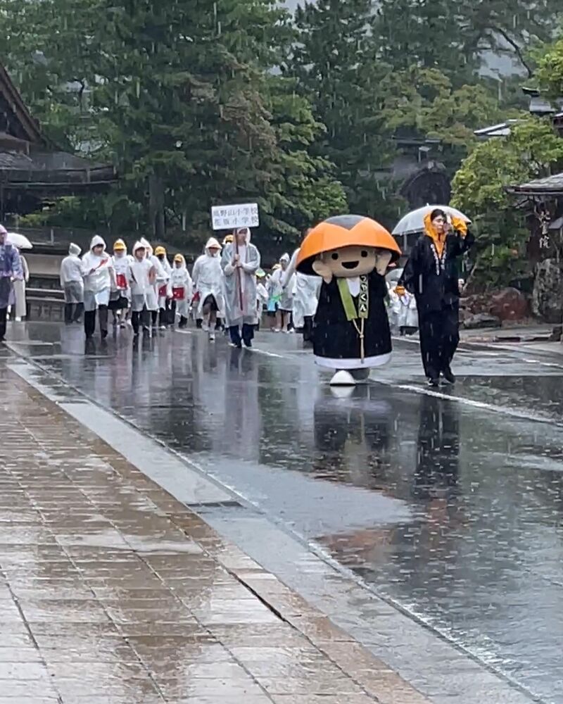 画像1537