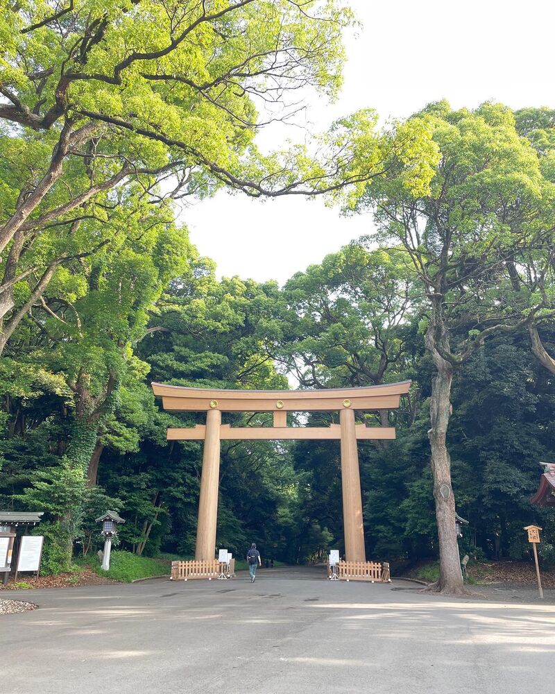 画像1596