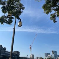 画像1742