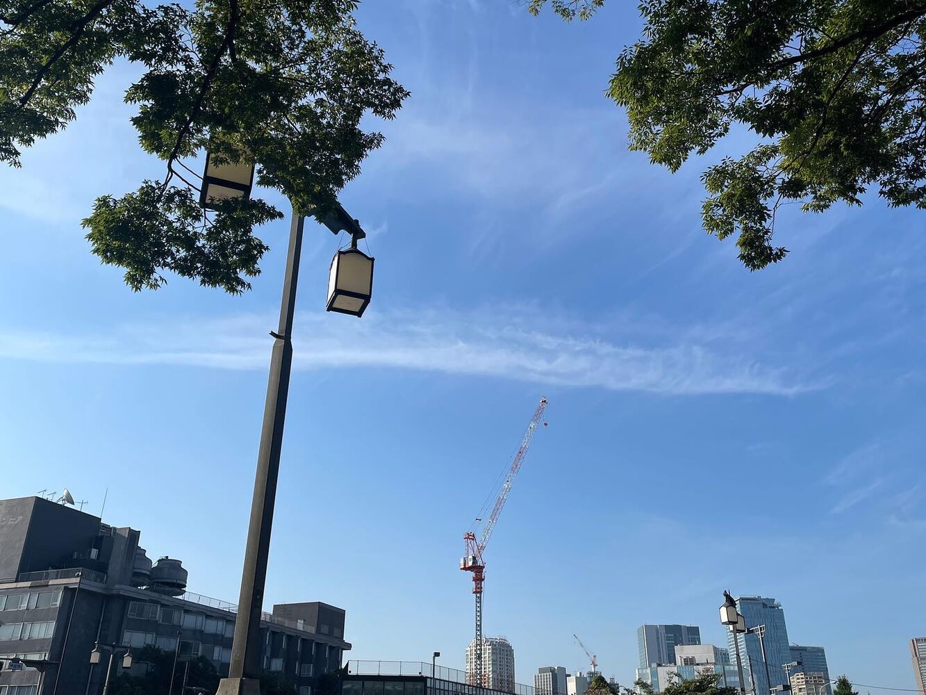 画像1742