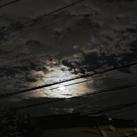画像1777