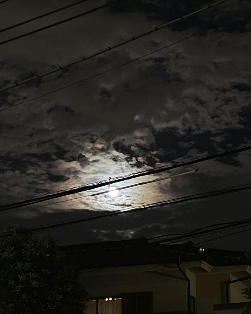 画像1777