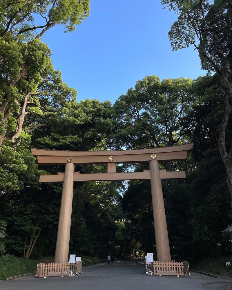 画像1833