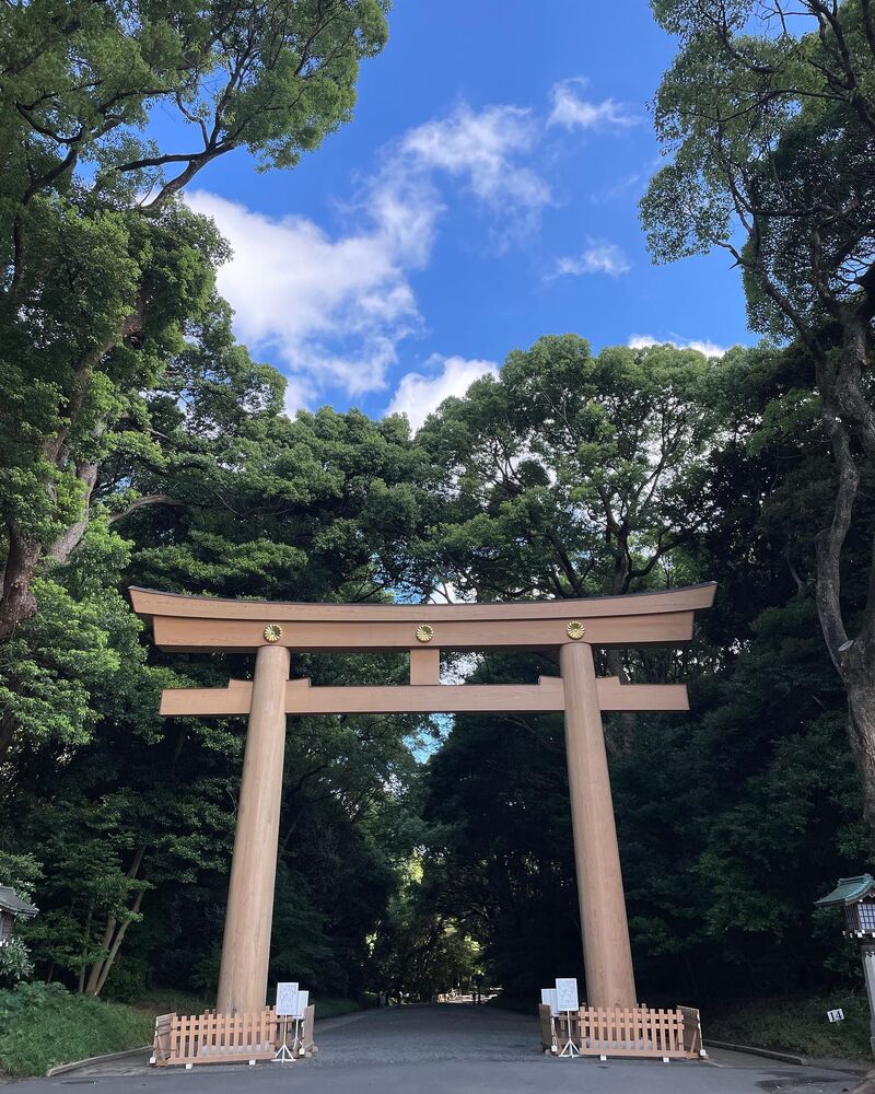 画像1863