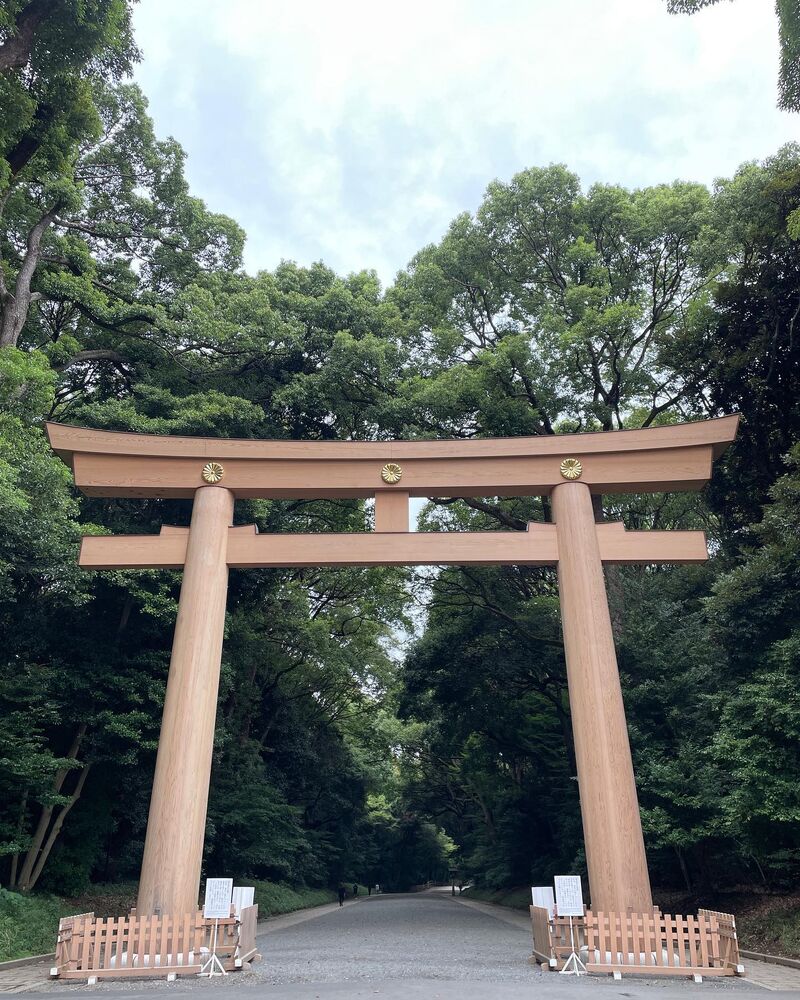 画像1954
