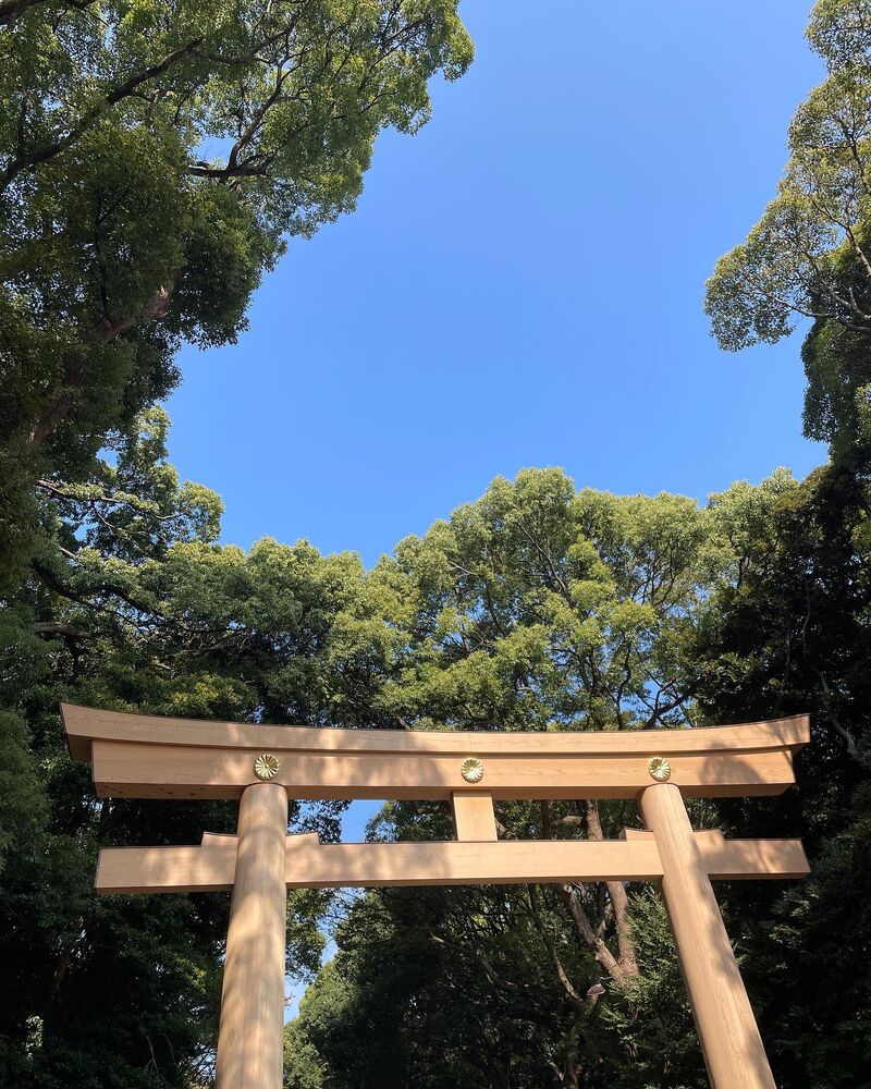 画像2154