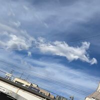 画像2282