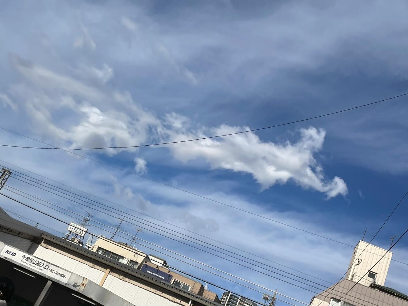画像2282