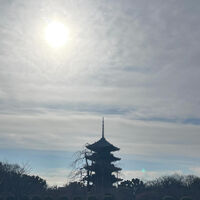 画像2387