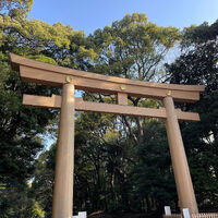 画像2478