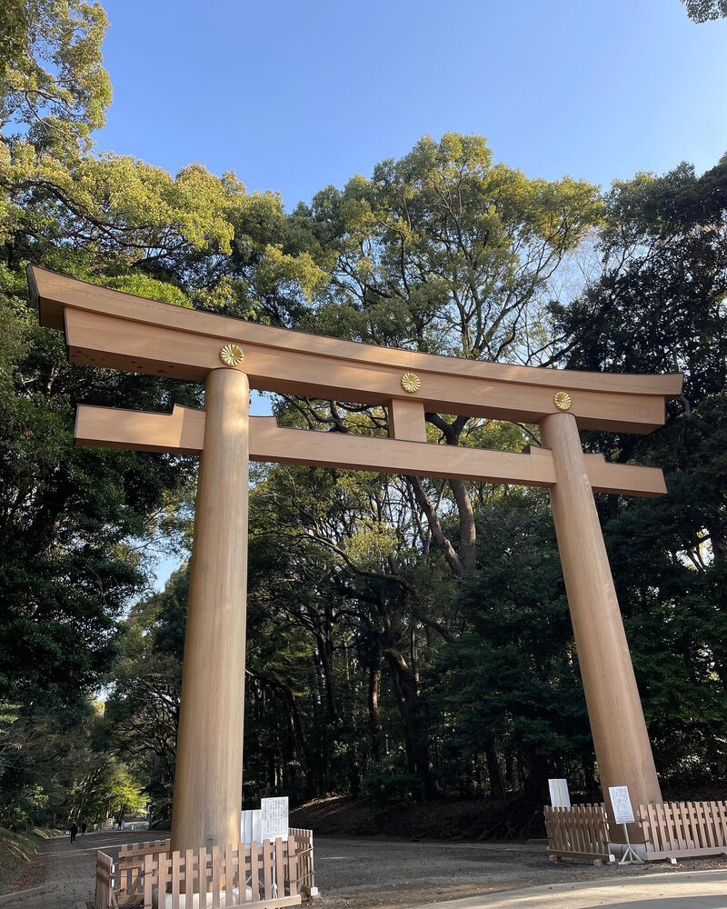画像2478