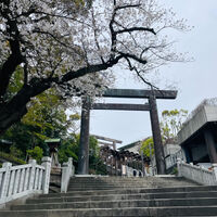 画像2487