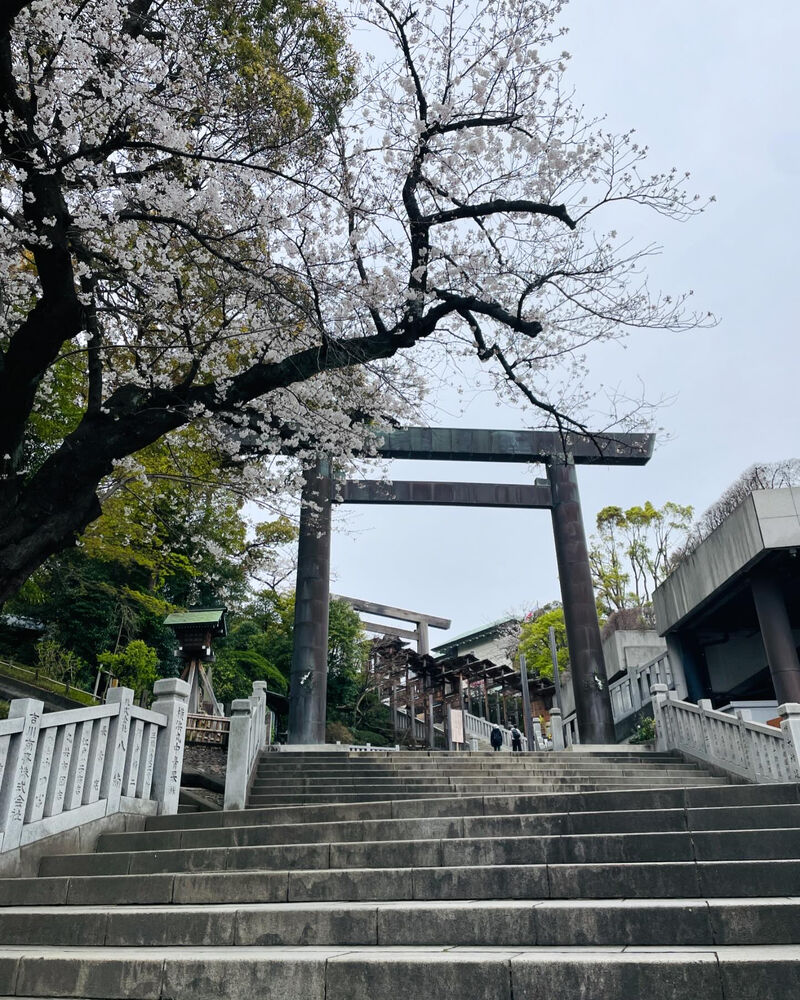 画像2487