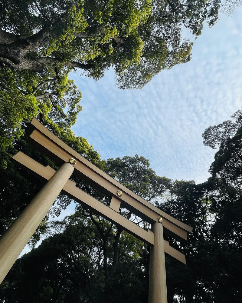 画像2500