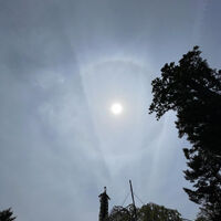 画像2597