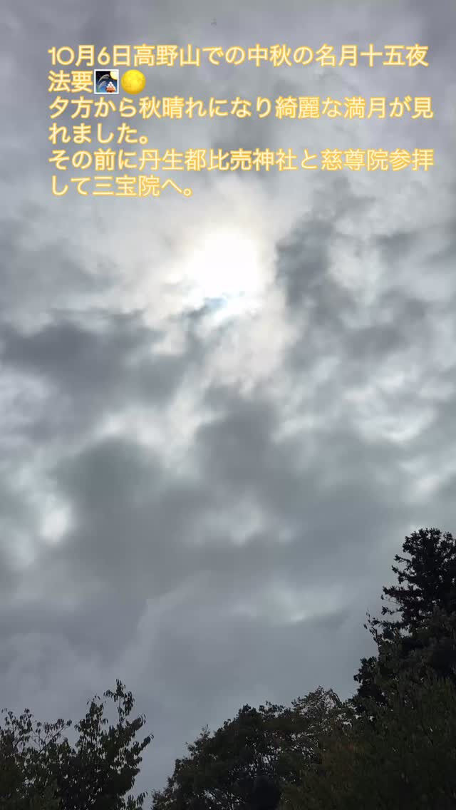 動画サムネイル
